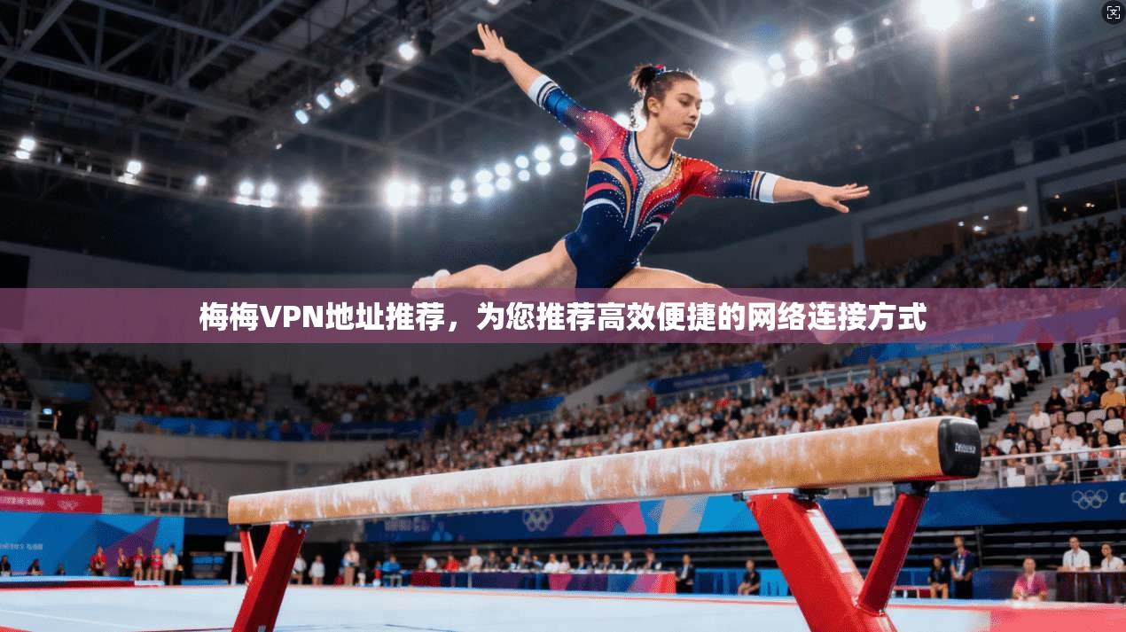 梅梅VPN地址推荐，为您推荐高效便捷的网络连接方式