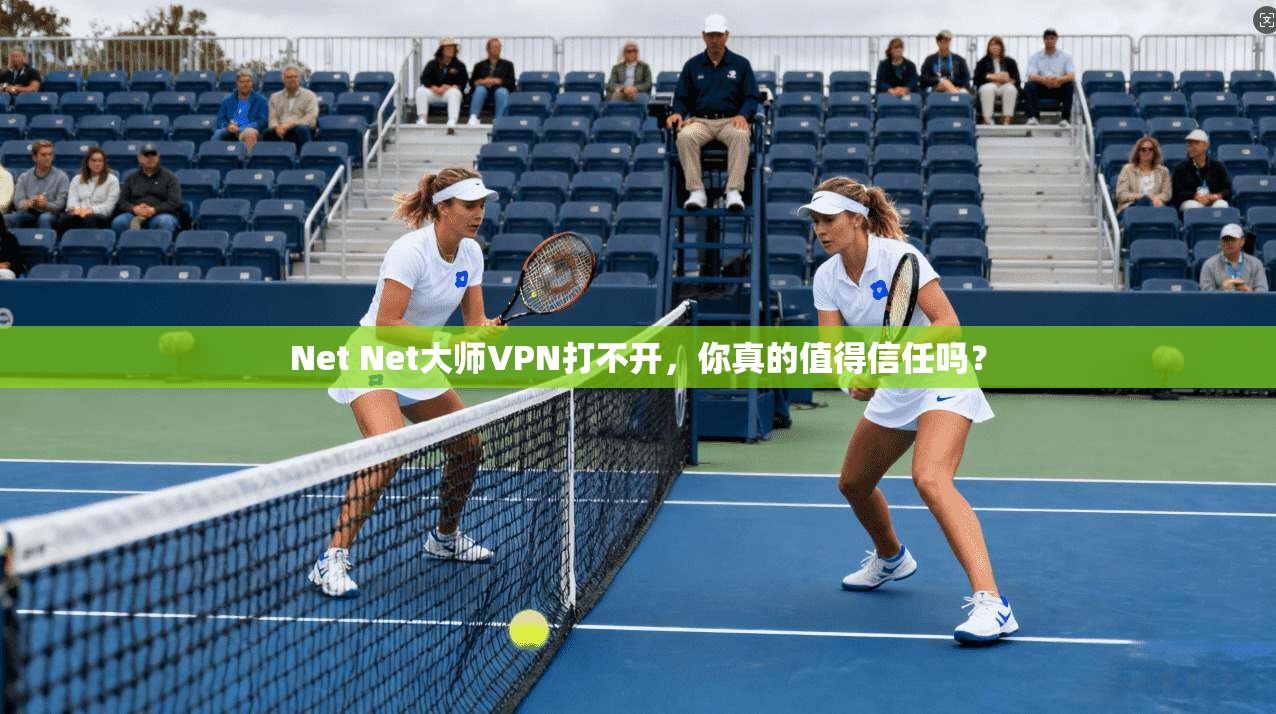 Net Net大师VPN打不开，你真的值得信任吗？