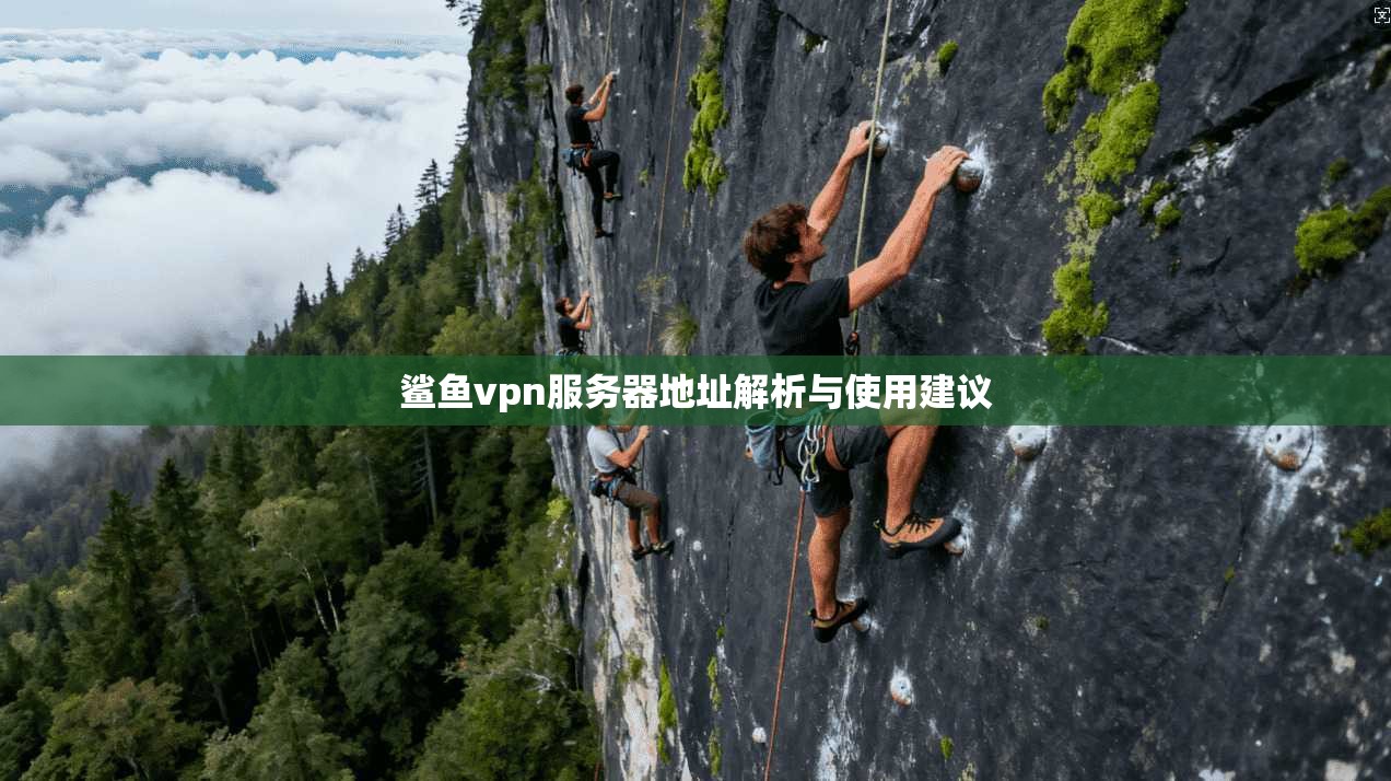鲨鱼vpn服务器地址解析与使用建议