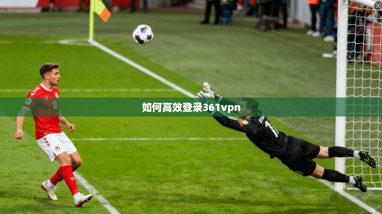 如何高效登录361vpn