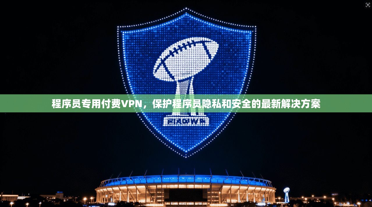 程序员专用付费VPN，保护程序员隐私和安全的最新解决方案