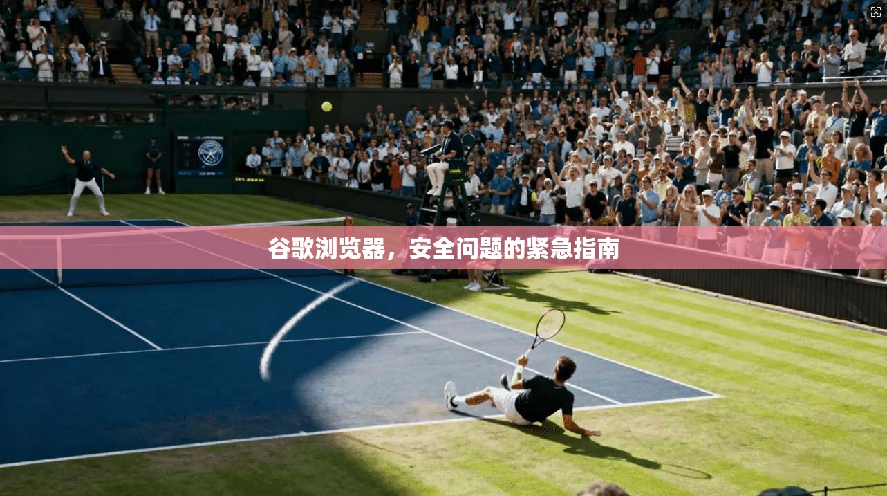 谷歌浏览器，安全问题的紧急指南