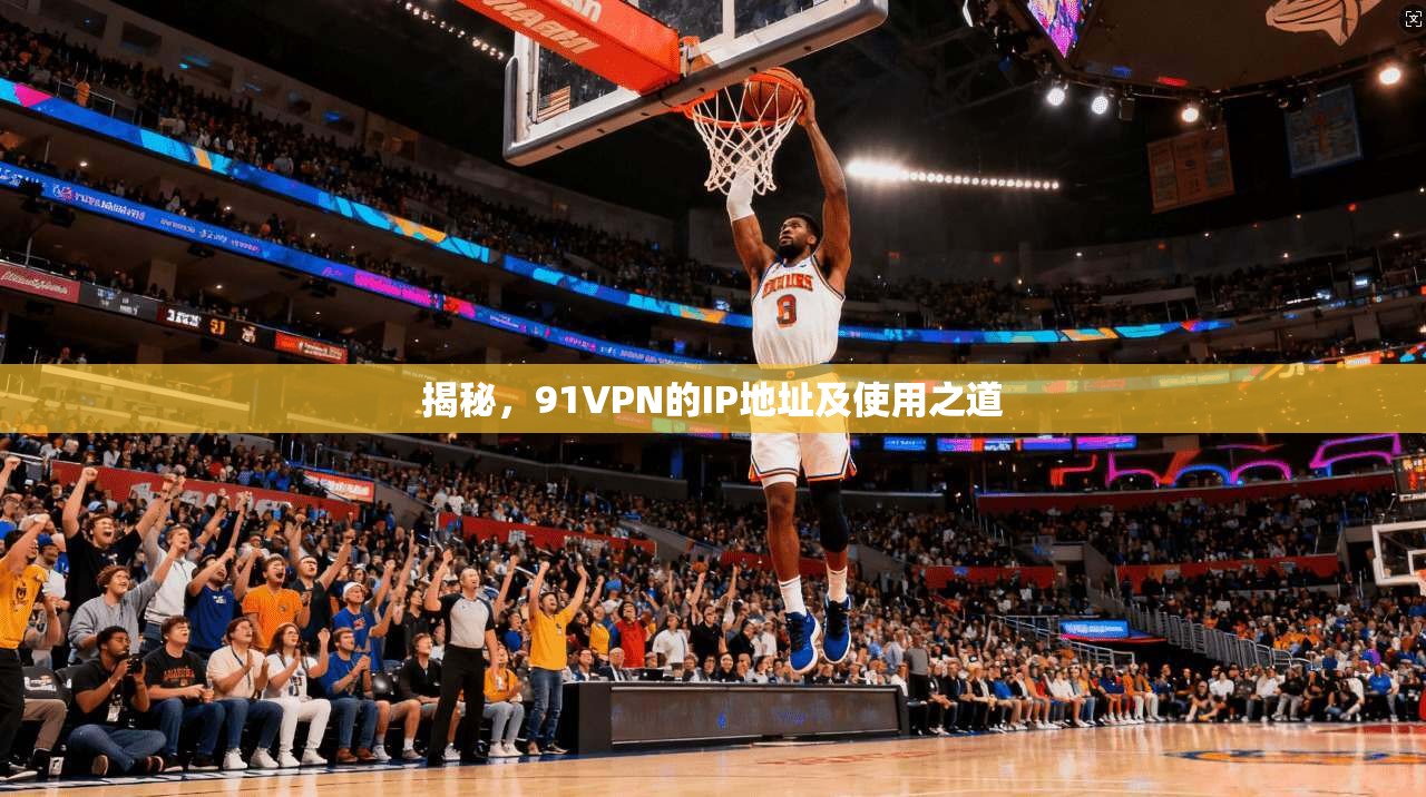 揭秘,91VPN的IP地址及使用之道
