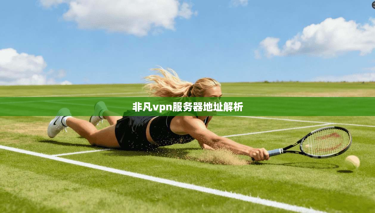 非凡vpn服务器地址解析