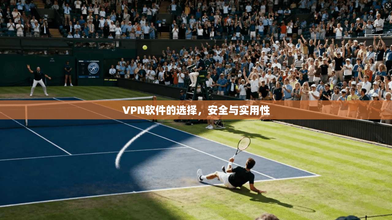 VPN软件的选择，安全与实用性