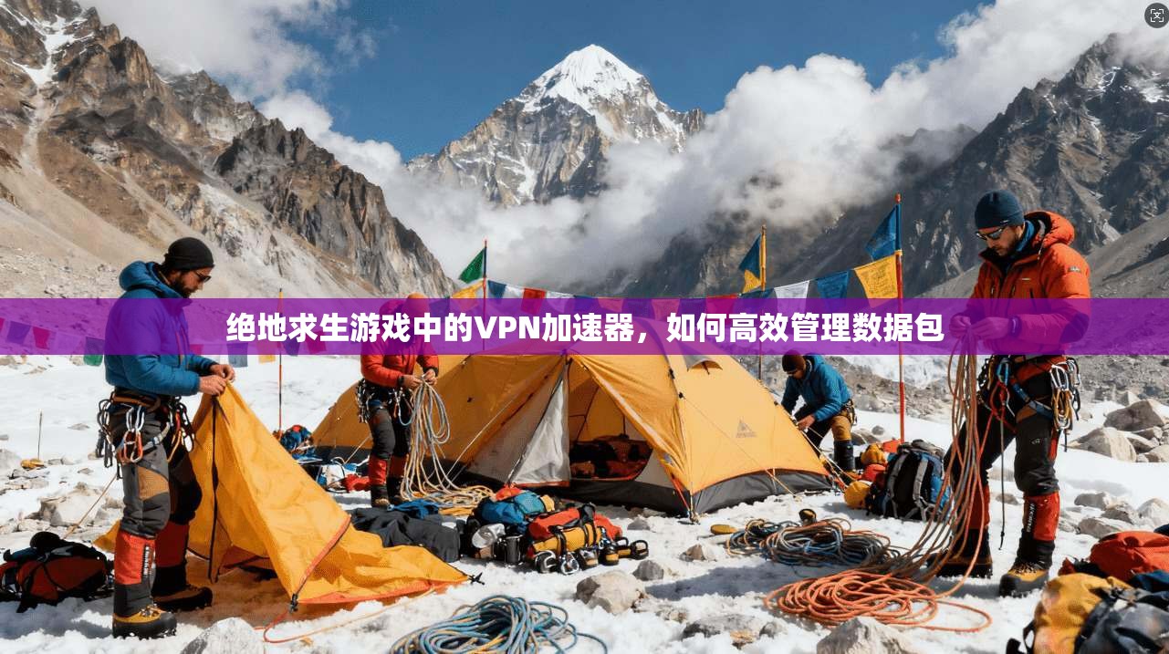 绝地求生游戏中的VPN加速器，如何高效管理数据包
