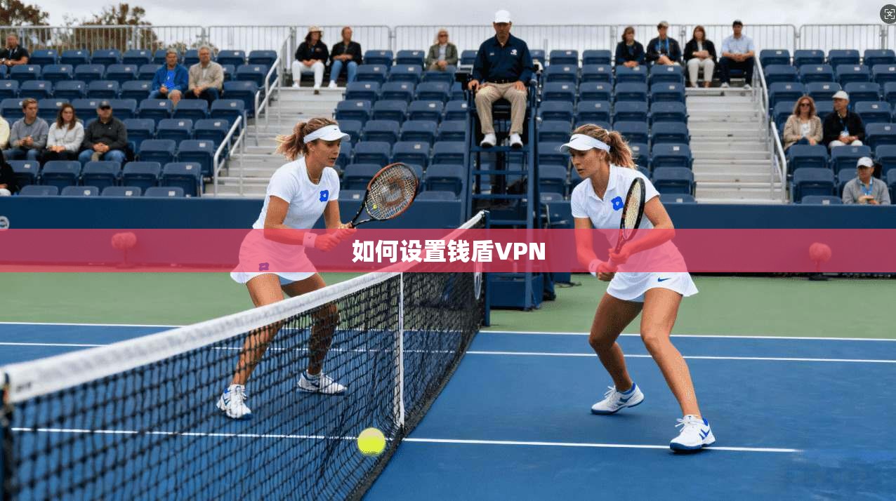 如何设置钱盾VPN