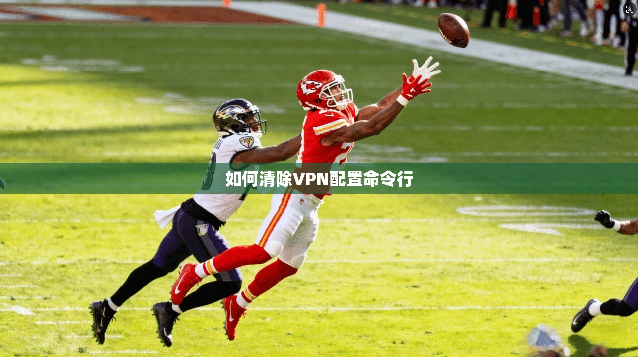 如何清除VPN配置命令行