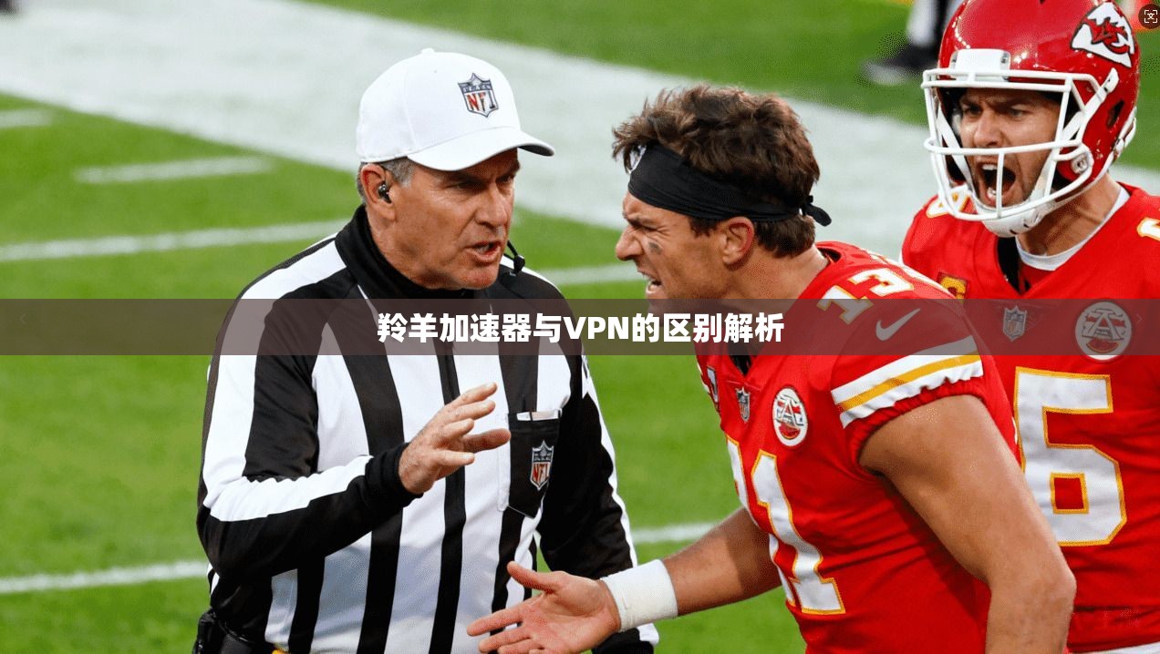 羚羊加速器与VPN的区别解析