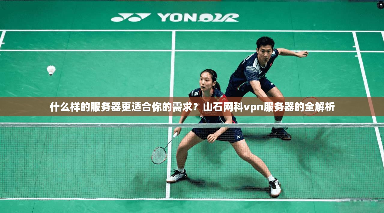 什么样的服务器更适合你的需求？山石网科vpn服务器的全解析