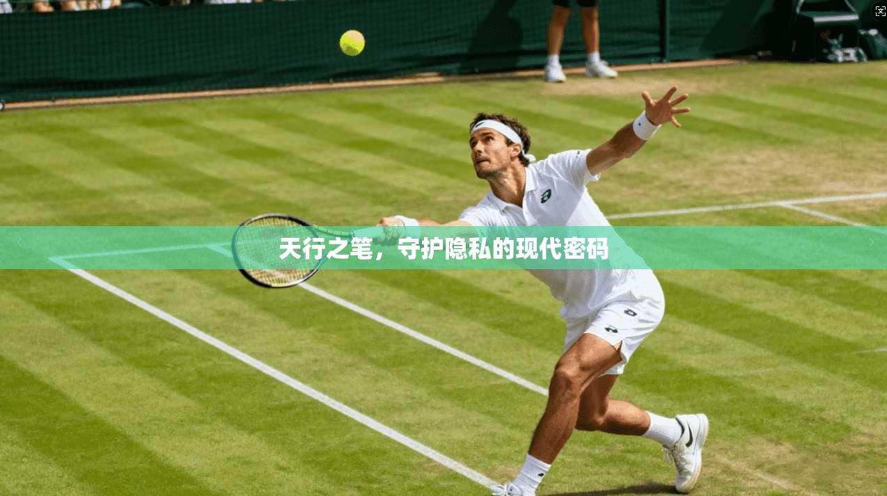 天行之笔，守护隐私的现代密码