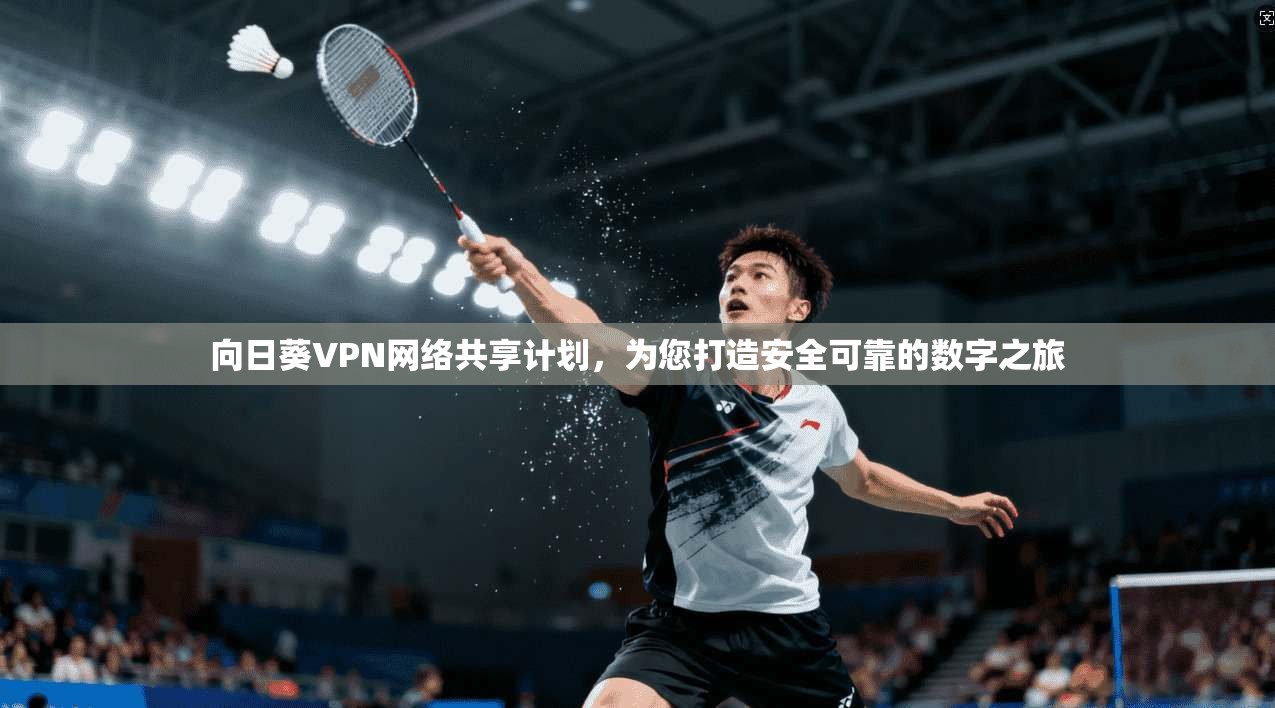 向日葵VPN网络共享计划，为您打造安全可靠的数字之旅