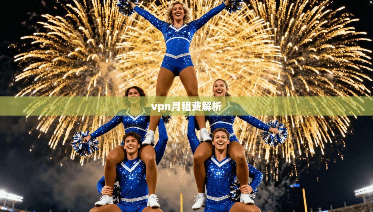 vpn月租费解析
