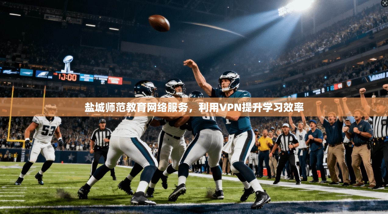盐城师范教育网络服务,利用VPN提升学习效率