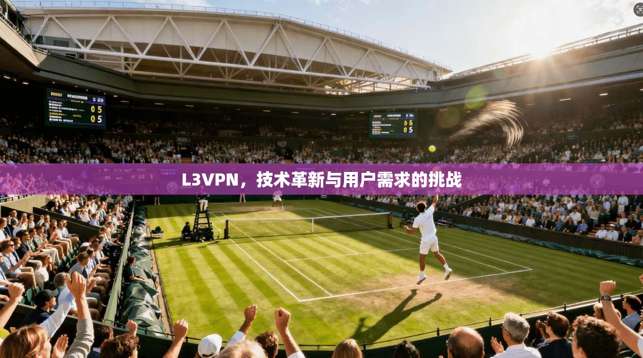 L3VPN，技术革新与用户需求的挑战