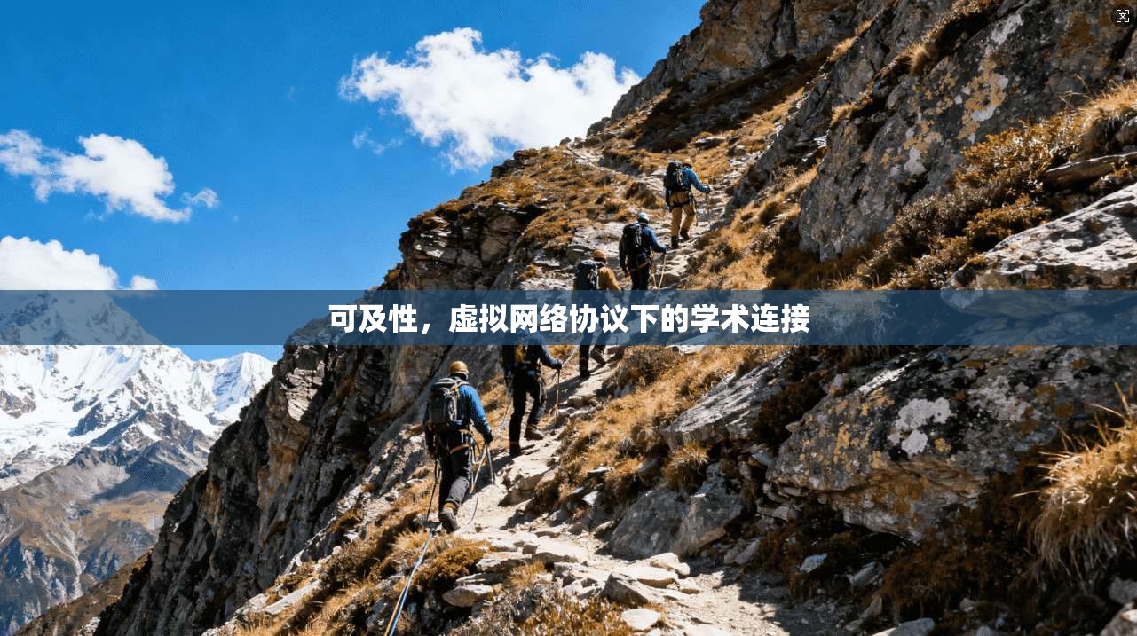 可及性,虚拟网络协议下的学术连接