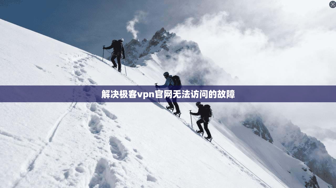 解决极客vpn官网无法访问的故障