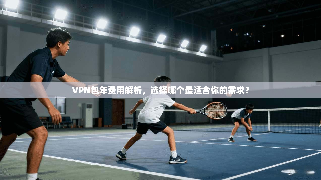 VPN包年费用解析，选择哪个最适合你的需求？