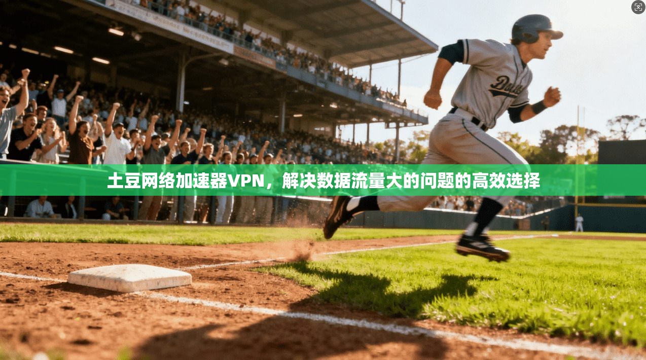 土豆网络加速器VPN，解决数据流量大的问题的高效选择