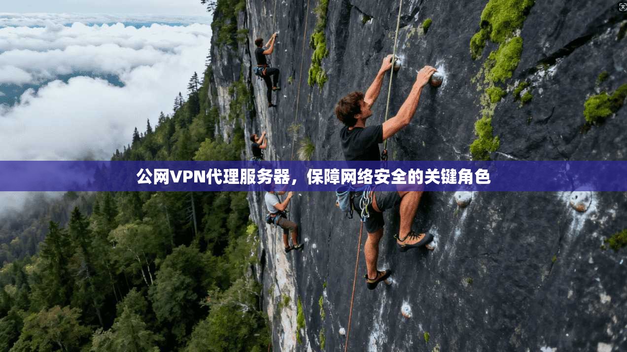 公网VPN代理服务器，保障网络安全的关键角色