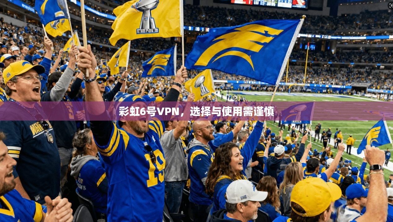 彩虹6号VPN,选择与使用需谨慎