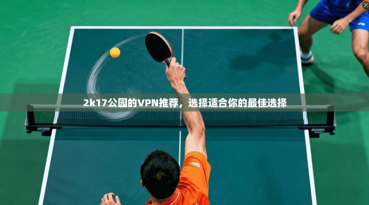 2k17公园的VPN推荐,选择适合你的最佳选择