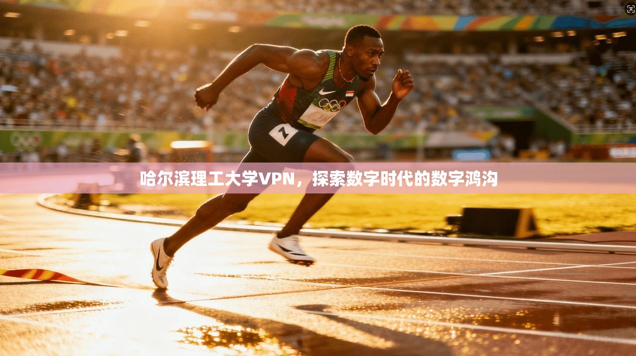 哈尔滨理工大学VPN，探索数字时代的数字鸿沟
