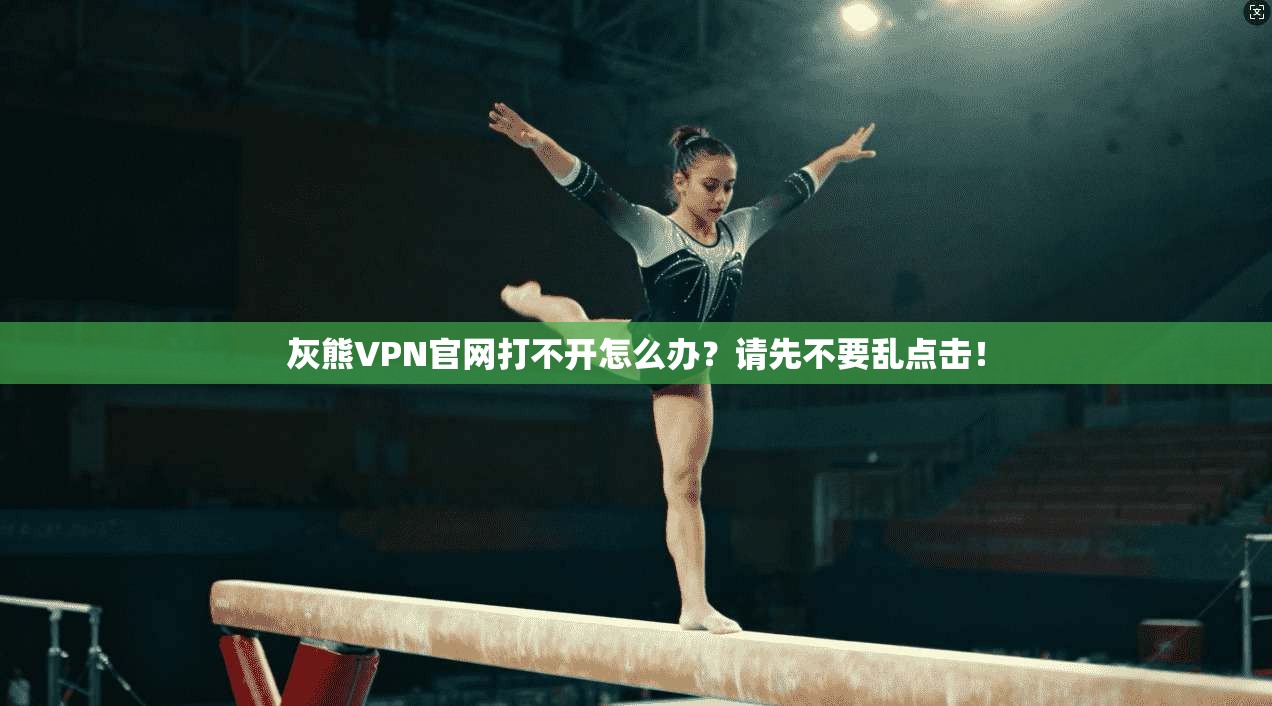 灰熊VPN官网打不开怎么办？请先不要乱点击！