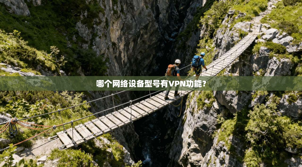 哪个网络设备型号有VPN功能？