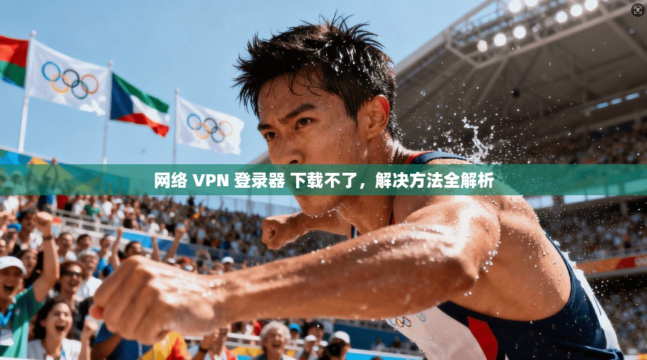 网络 VPN 登录器 下载不了，解决方法全解析