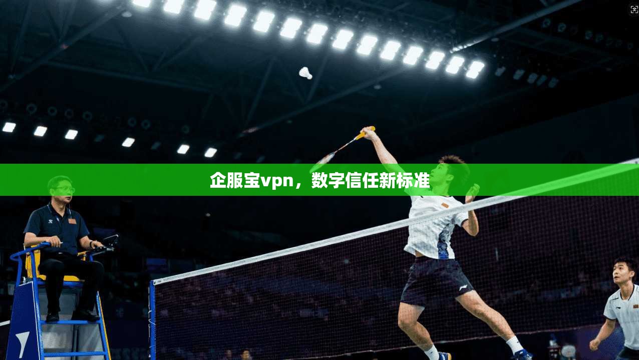 企服宝vpn，数字信任新标准
