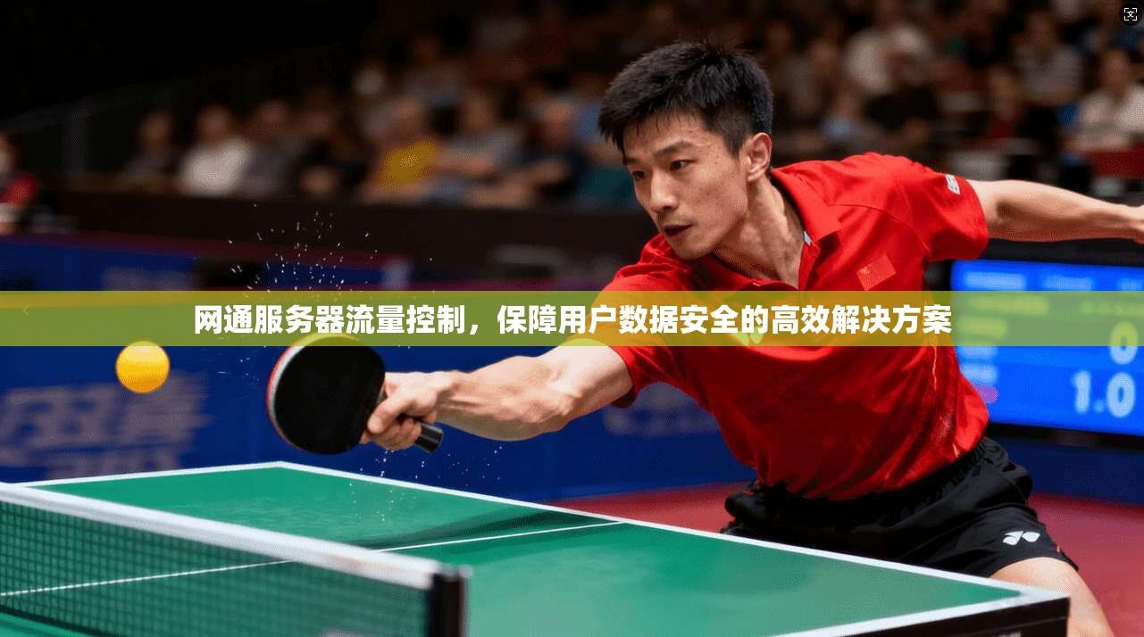 网通服务器流量控制，保障用户数据安全的高效解决方案
