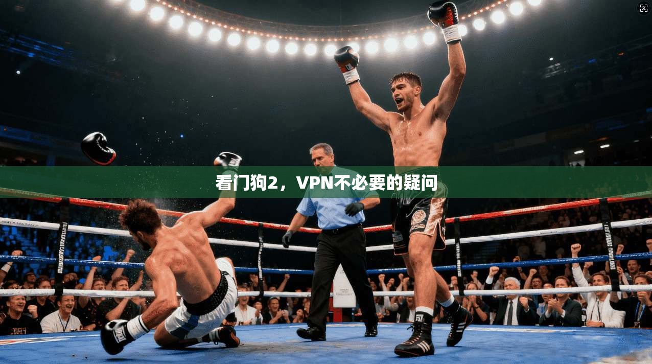 看门狗2,VPN不必要的疑问