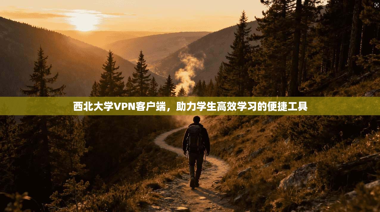 西北大学VPN客户端,助力学生高效学习的便捷工具