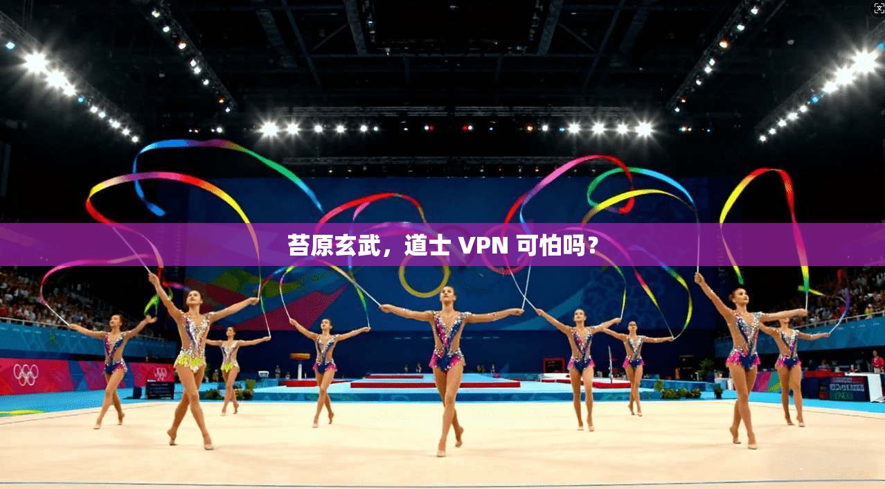 苔原玄武,道士 VPN 可怕吗?