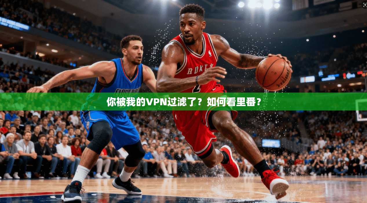 你被我的VPN过滤了?如何看里番?