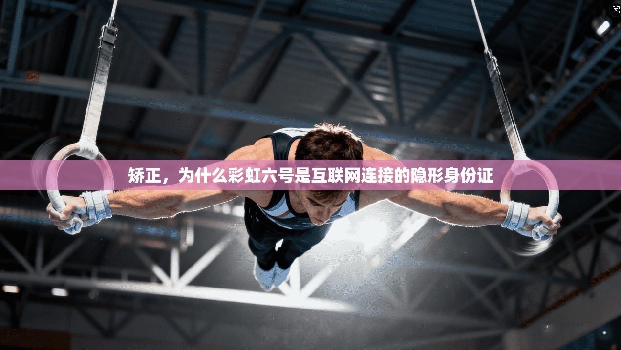 矫正,为什么彩虹六号是互联网连接的隐形身份证