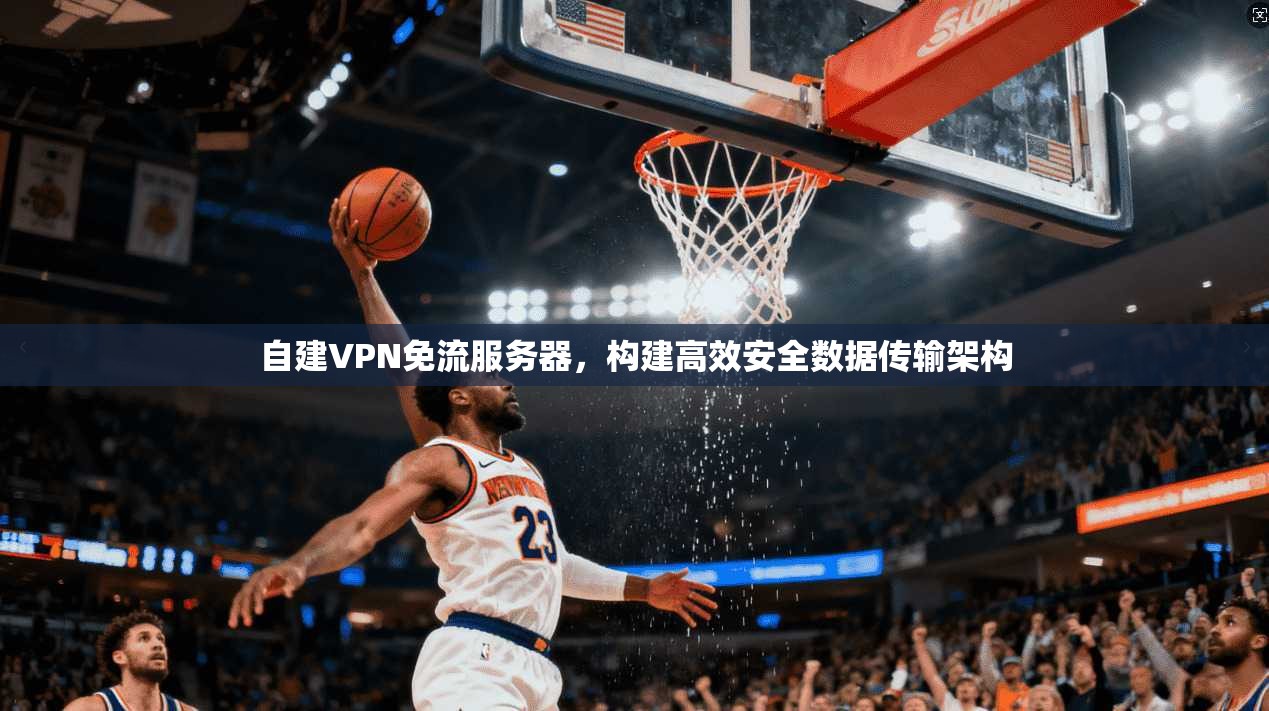 自建VPN免流服务器，构建高效安全数据传输架构