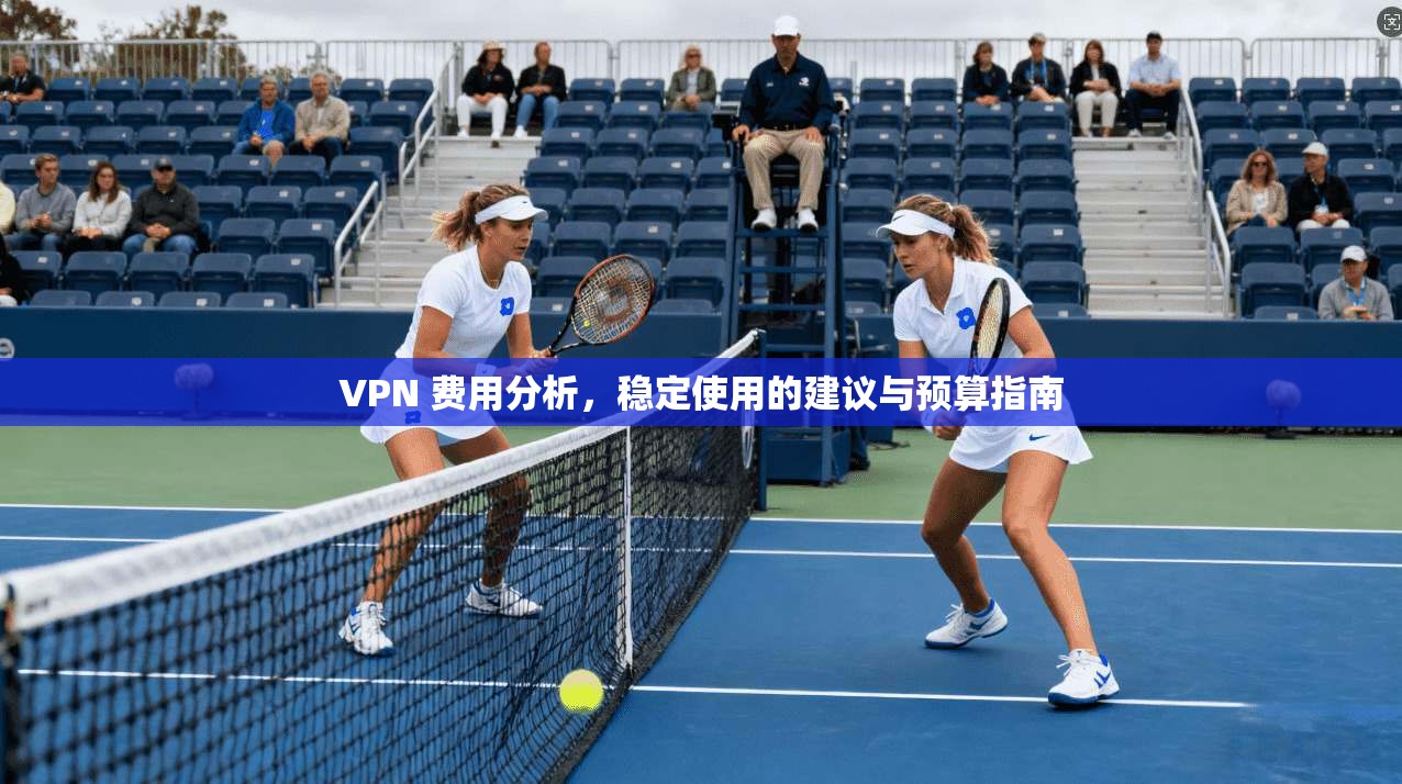 VPN 费用分析，稳定使用的建议与预算指南