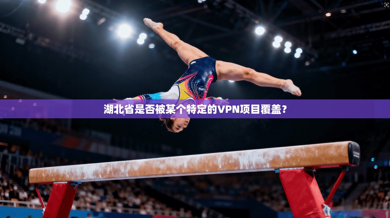 湖北省是否被某个特定的VPN项目覆盖？