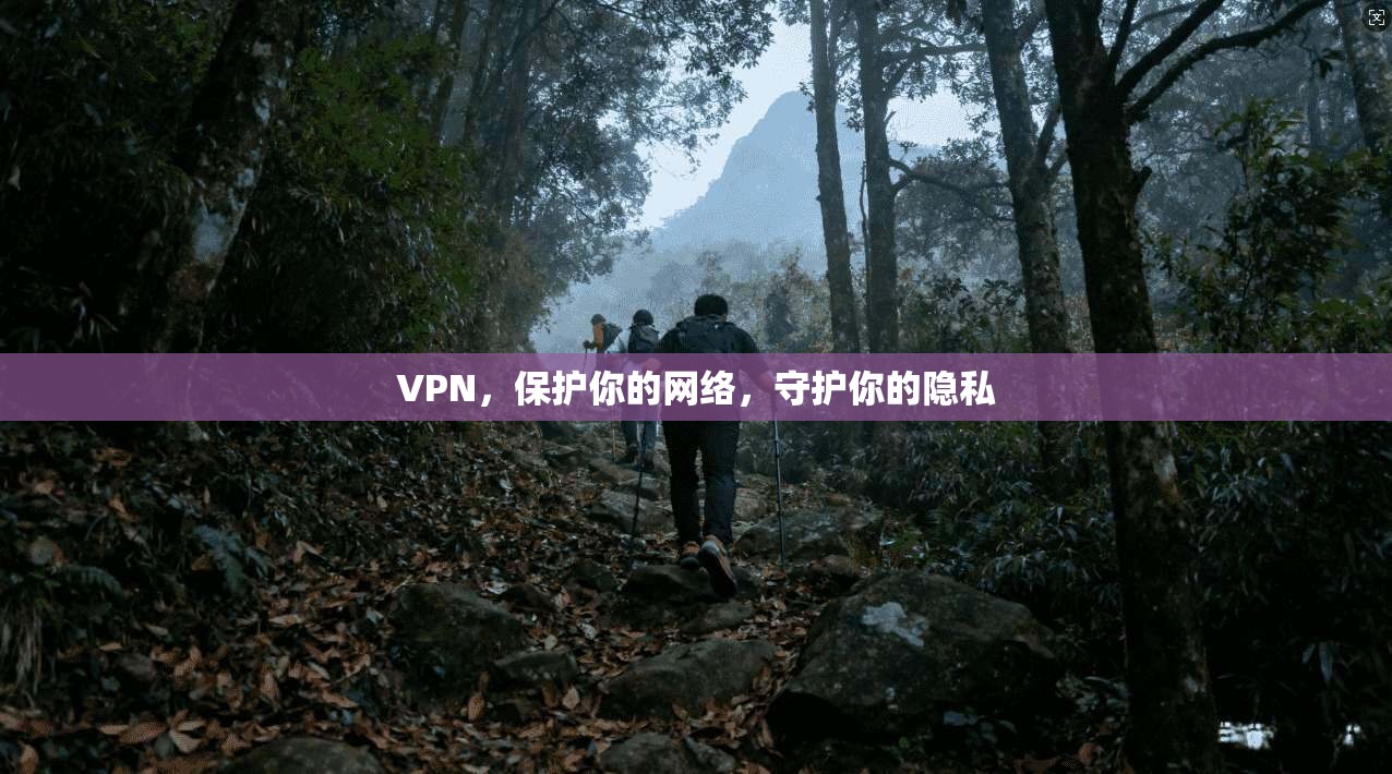 VPN,保护你的网络,守护你的隐私