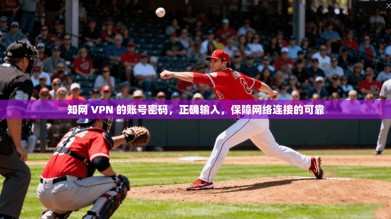 知网 VPN 的账号密码,正确输入,保障网络连接的可靠