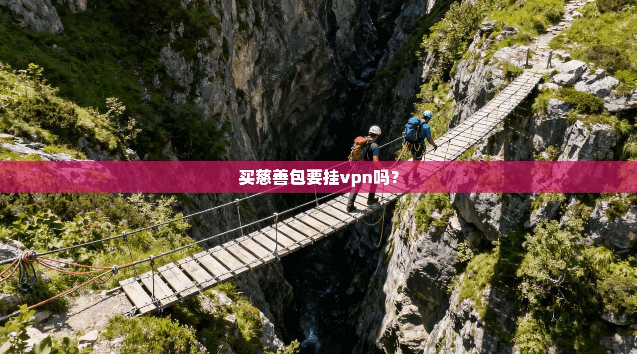 买慈善包要挂vpn吗?