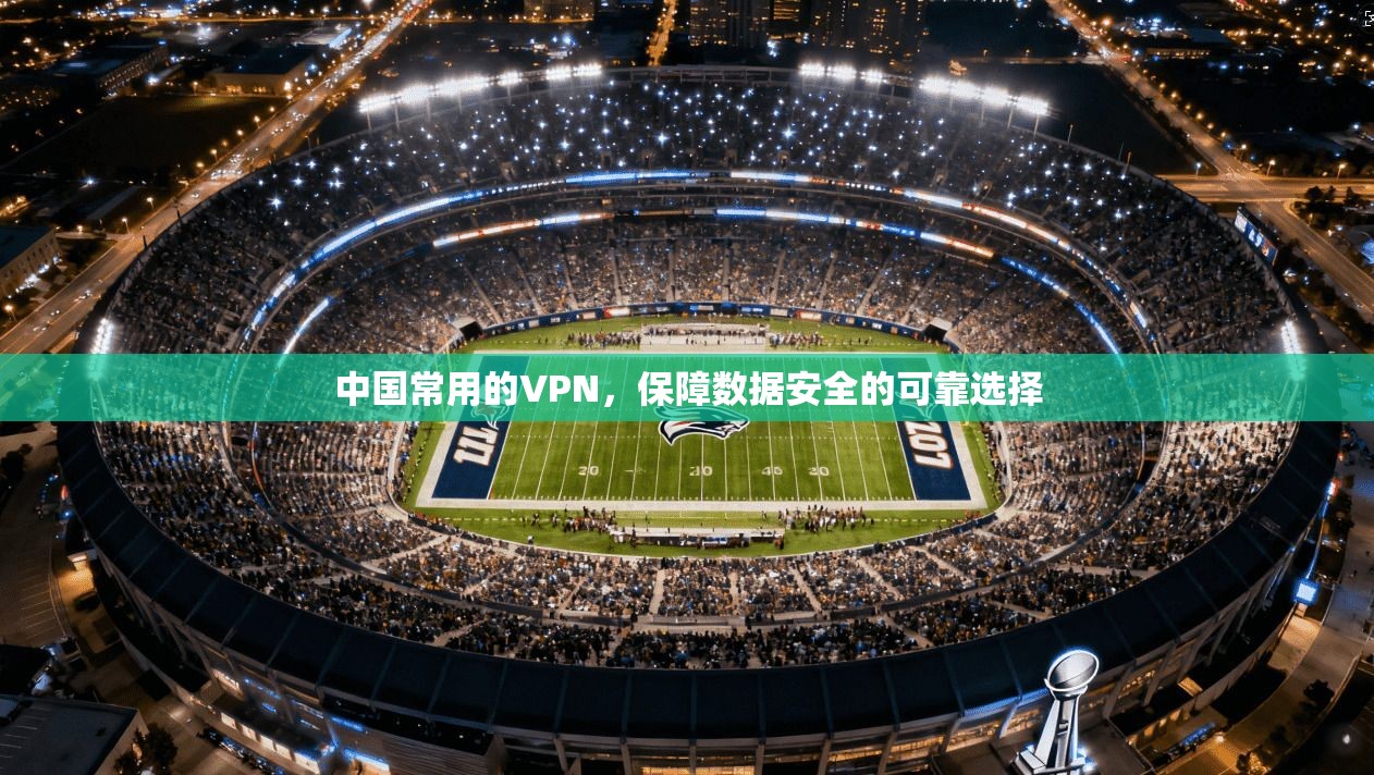 中国常用的VPN,保障数据安全的可靠选择
