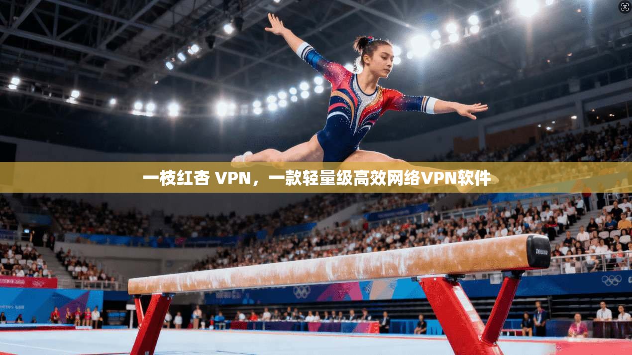 一枝红杏 VPN，一款轻量级高效网络VPN软件