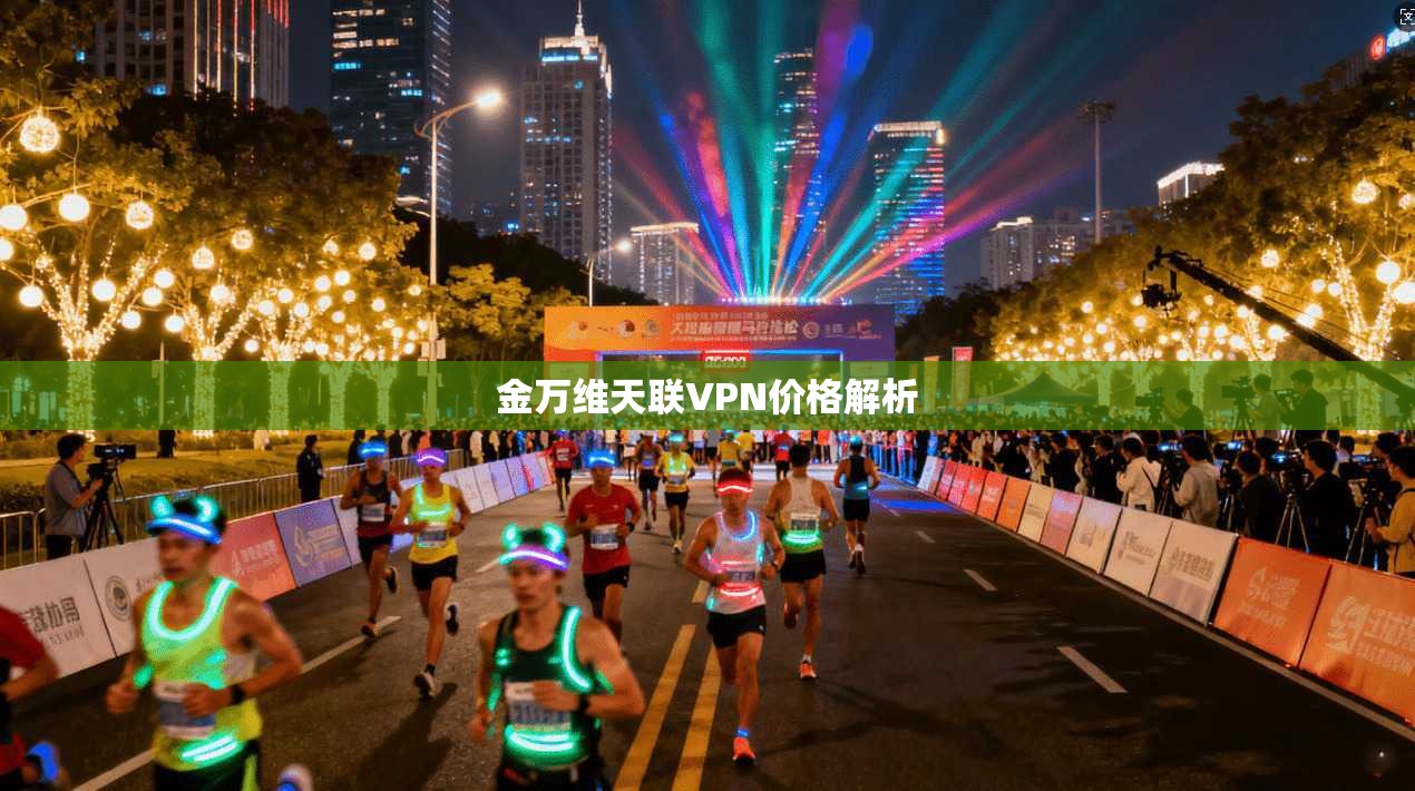 金万维天联VPN价格解析