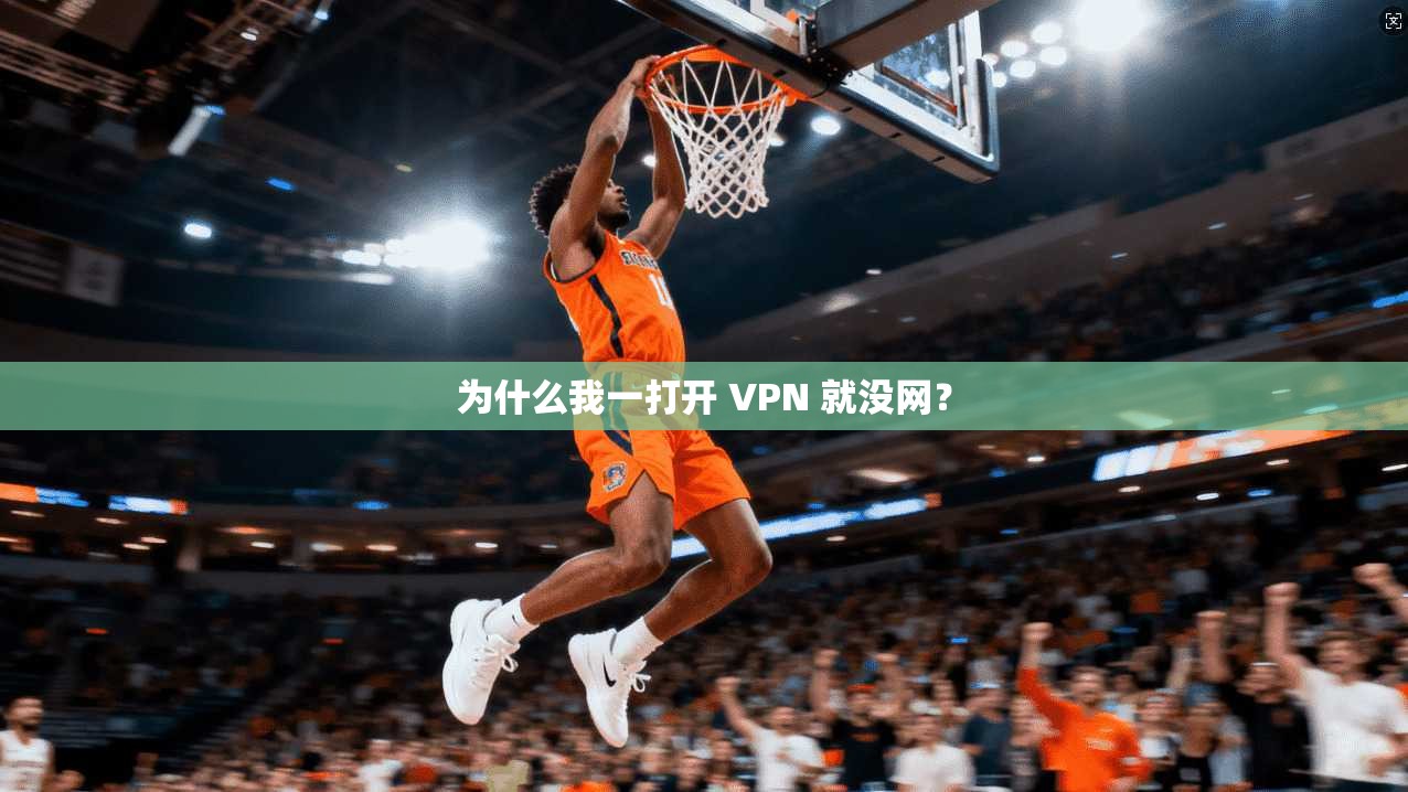 为什么我一打开 VPN 就没网？