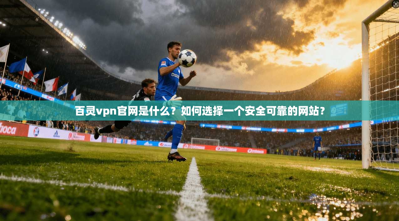百灵vpn官网是什么？如何选择一个安全可靠的网站？
