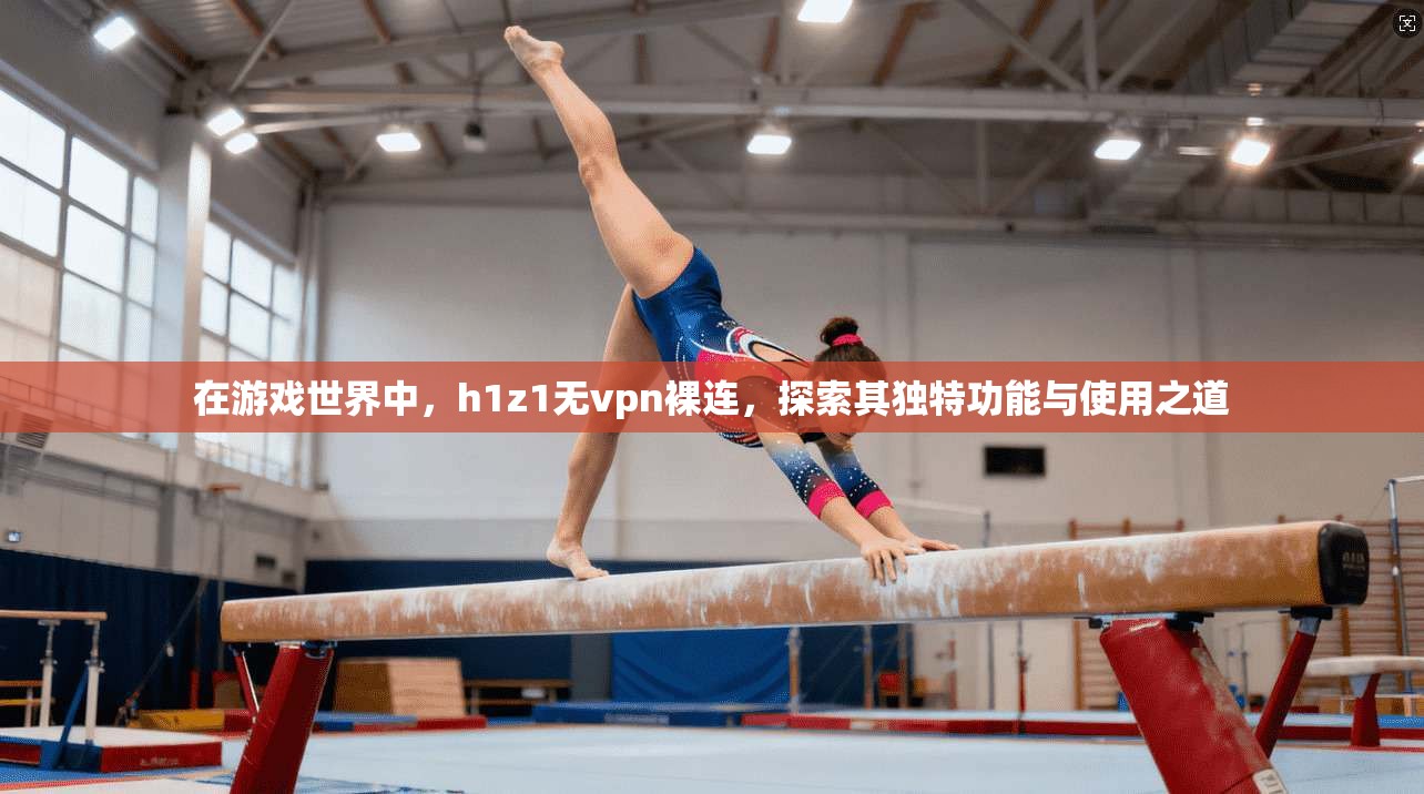 在游戏世界中，h1z1无vpn裸连，探索其独特功能与使用之道