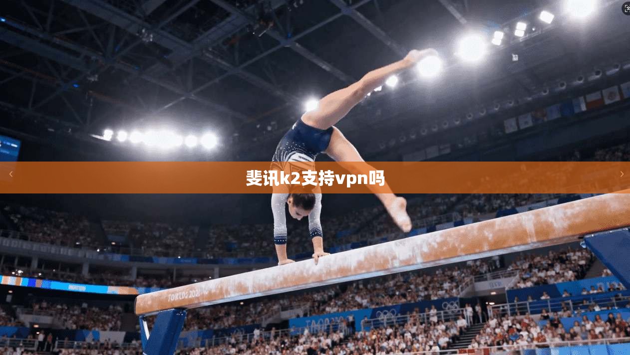 斐讯k2支持vpn吗